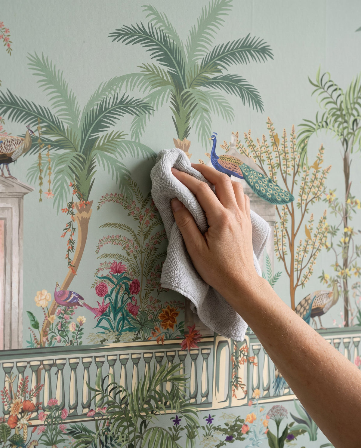 Entretien d'un papier peint panoramique avec un chiffon doux, visuel illustratif