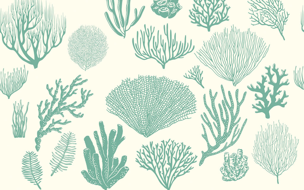 Papier peint panoramique Harmonie de coquilles : le décor à plat