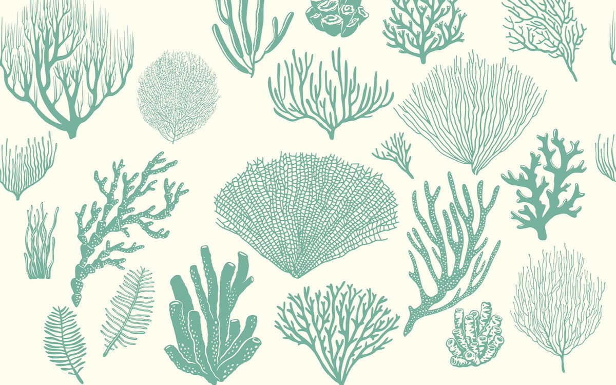 Papier peint panoramique Harmonie de coquilles : le décor à plat