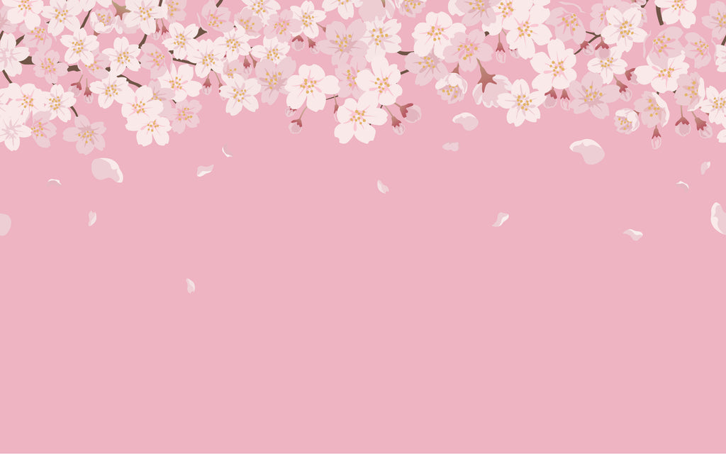 Papier peint panoramique Cerisiers en fleurs : le décor à plat
