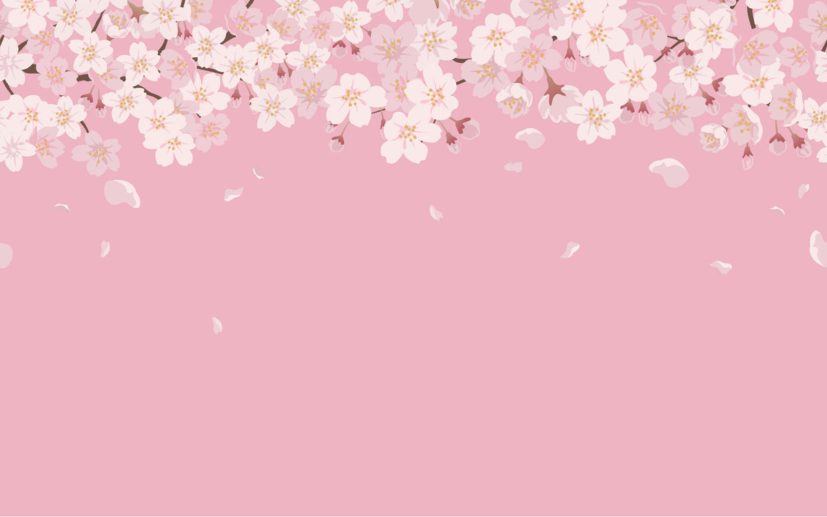 Papier peint panoramique Cerisiers en fleurs : le décor à plat