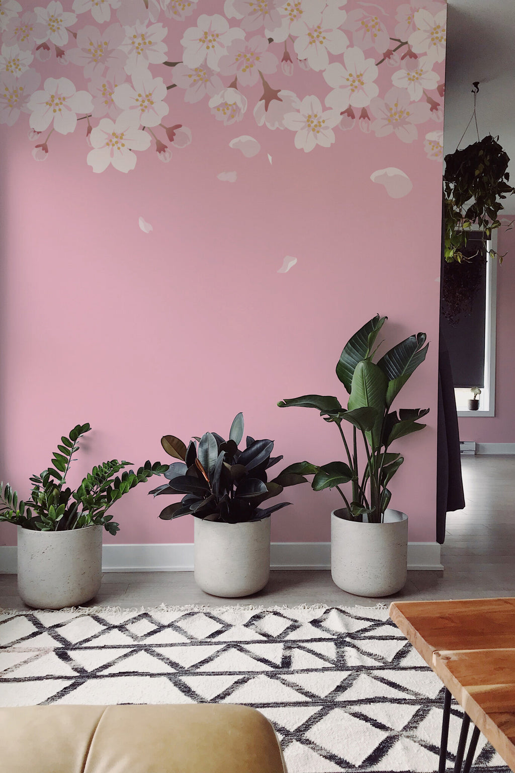 Cerisiers en fleurs · papier peint panoramique, vue 2