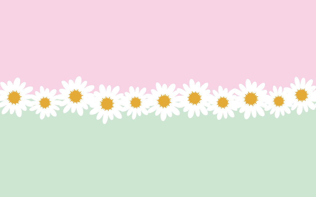 Papier peint panoramique Marguerites en rêve : le décor à plat