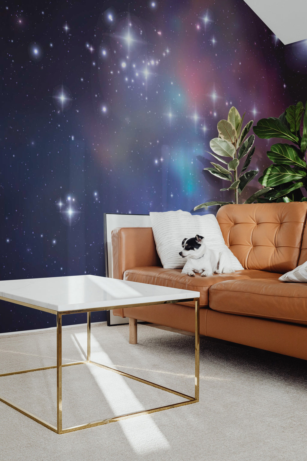 Champ d'étoiles · papier peint panoramique, vue 2