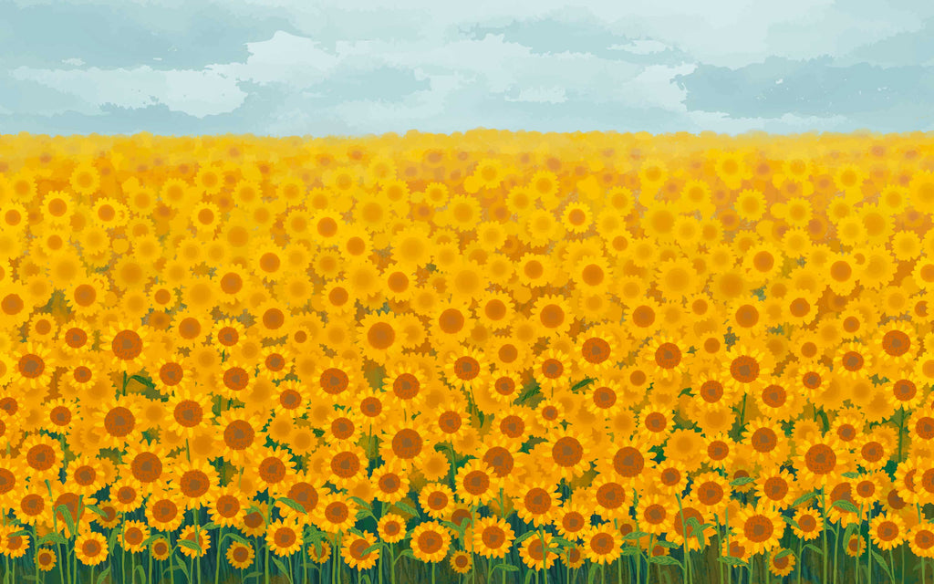 Papier peint panoramique Champ de tournesols : le décor à plat