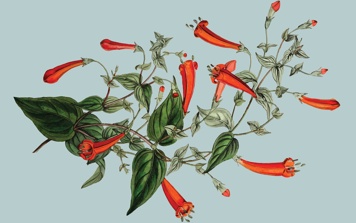 Papier peint panoramique Fleurs sur vert poudré : le décor à plat