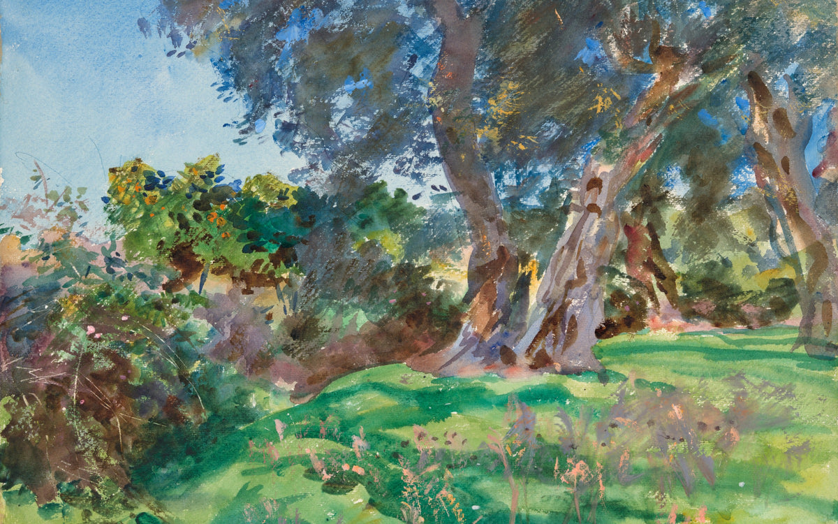 Papier peint panoramique Oliviers de Corfou : le décor à plat, d'après John Singer Sargent