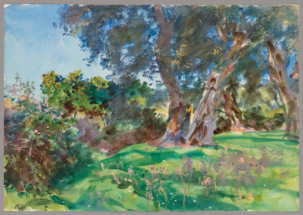 Papier peint panoramique Oliviers de Corfou, aquarelle d'oliviers vert argenté