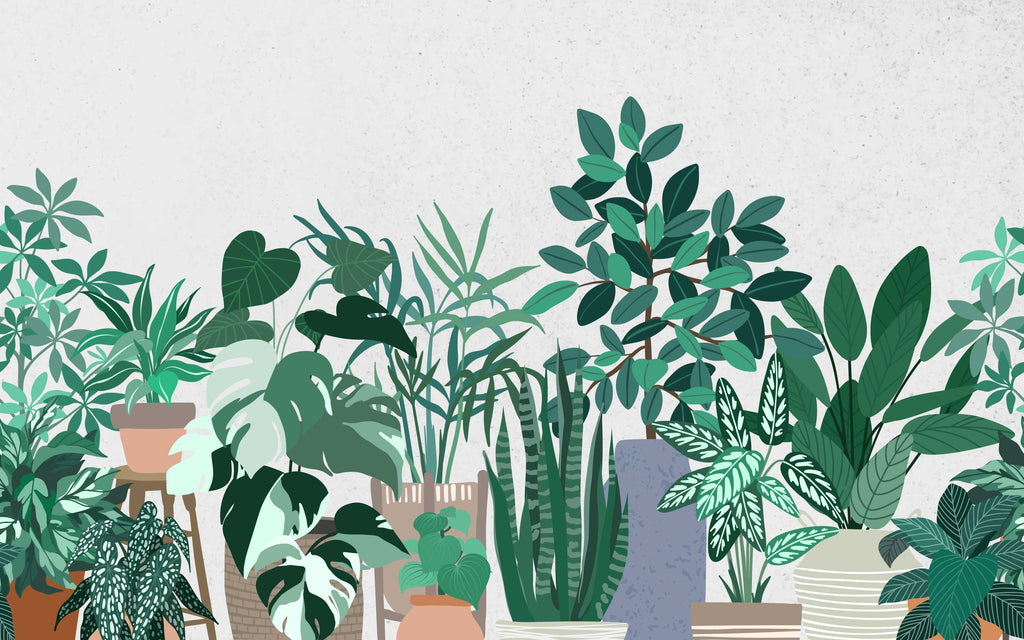 Papier peint panoramique Plantes d'intérieur : le décor à plat