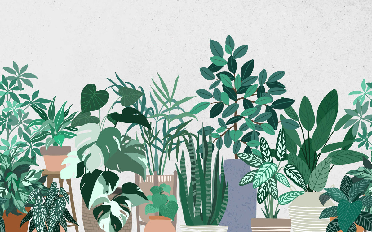 Papier peint panoramique Plantes d'intérieur : le décor à plat