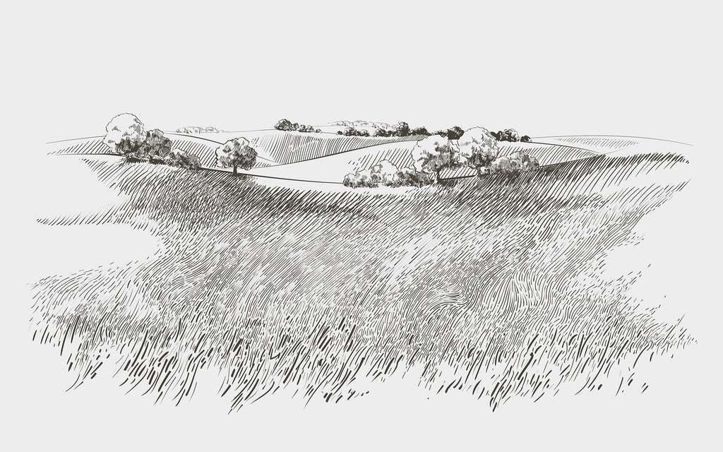 Papier peint panoramique Toile de campagne : le décor à plat