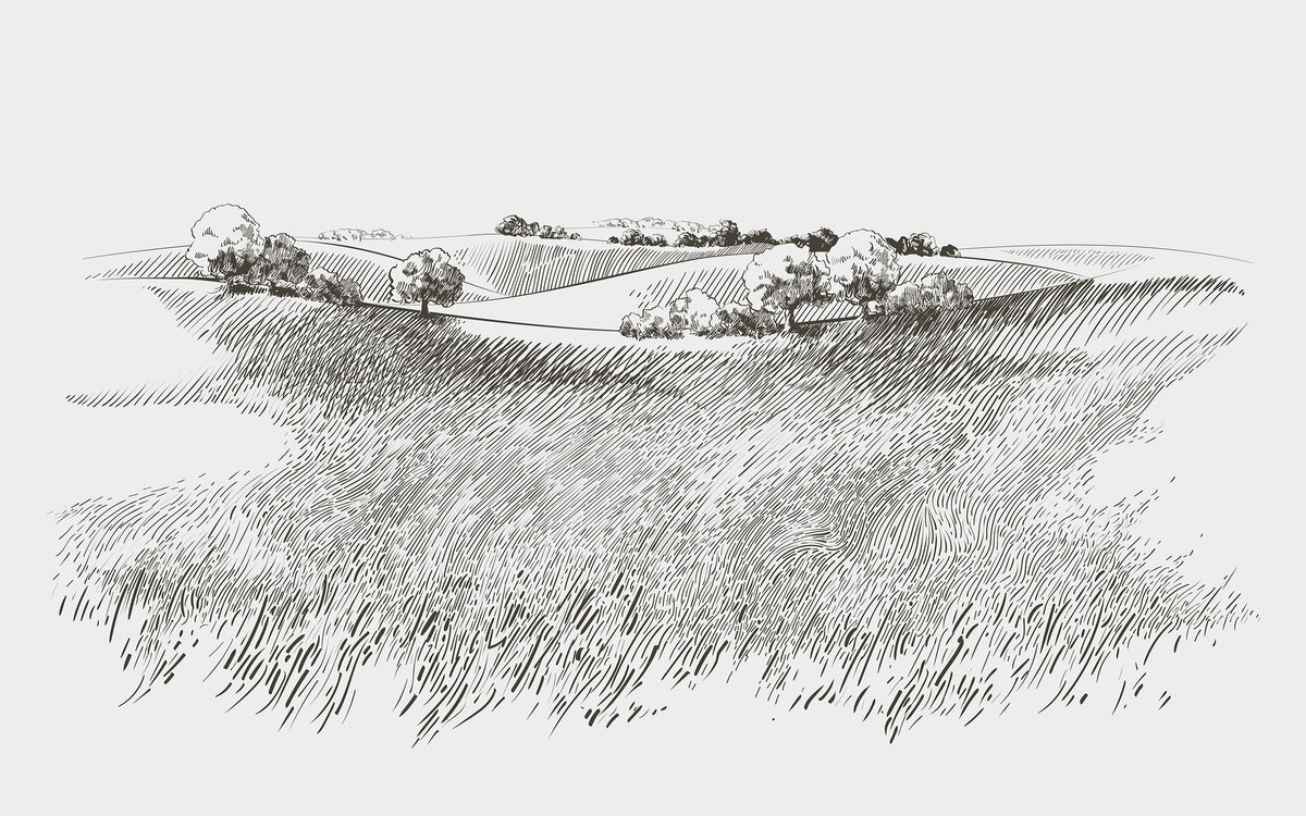 Papier peint panoramique Toile de campagne : le décor à plat